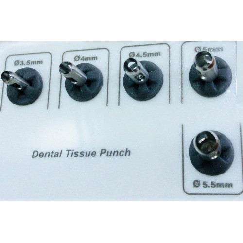 Dental Tissue Punch Seti  5'li Set