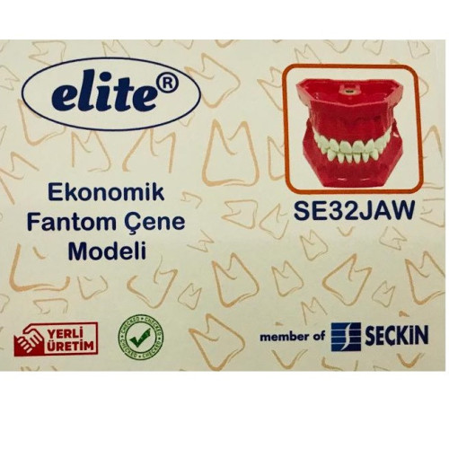 ELİTE FANTOM ÇENE ( YAYLI ARTİKÜLATÖRLÜ )