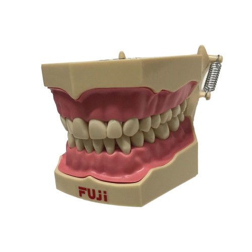 FUJİ ORİJİNAL-YUMUŞAK DİŞETLİ FANTOM ÇENE 32'Lİ -METAL PLAKALI